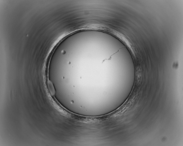 X0000098051091200804111306