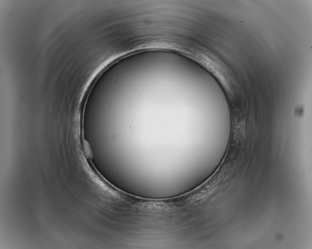 X0000098051092200804111306