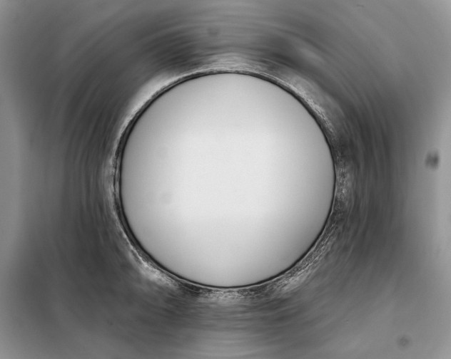 X0000098051094200804111306