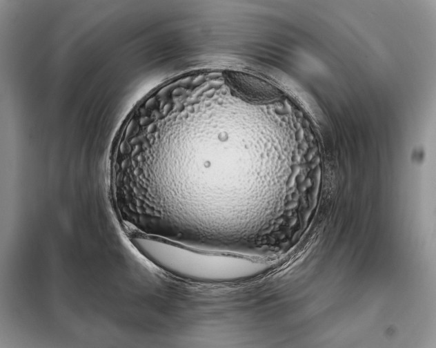 X0000098051095200804111306