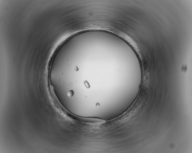 X0000098051096200804111306