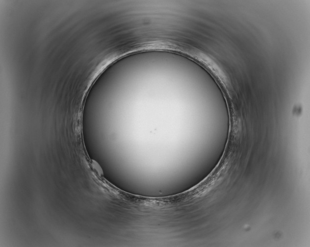 X0000098051097200804111306