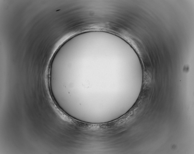 X0000098051098200804111306