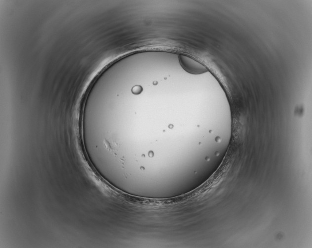 X0000098051099200804111306