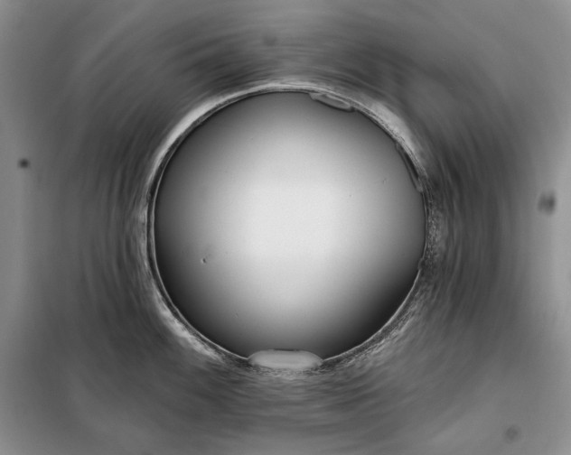 X0000098051100200804111306