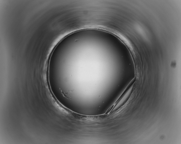 X0000098051102200804111306