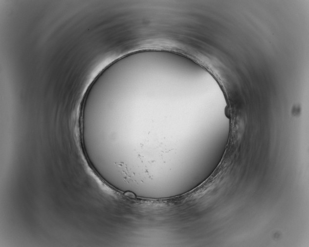 X0000098051103200804111306