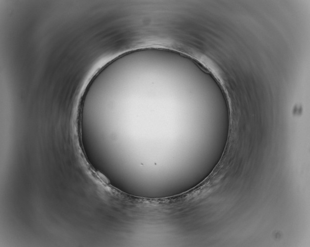 X0000098051104200804111306