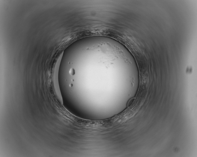 X0000098051106200804111305