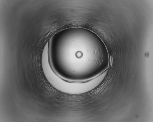 X0000098051107200804111305