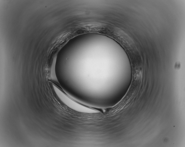 X0000098051108200804111305