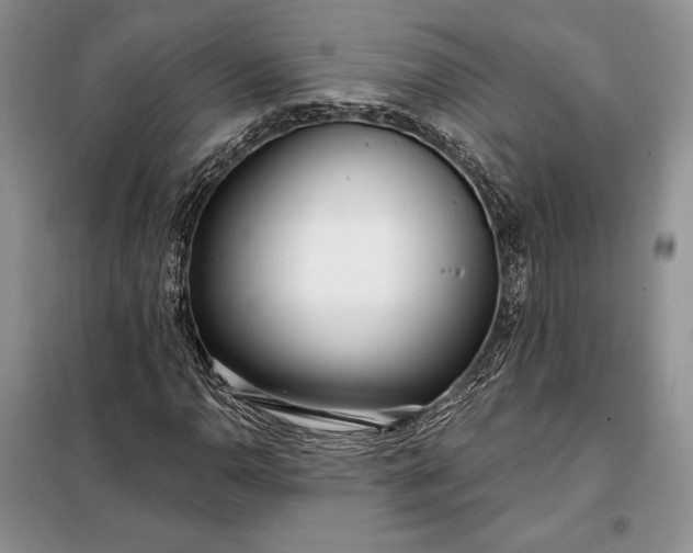 X0000098051110200804111305