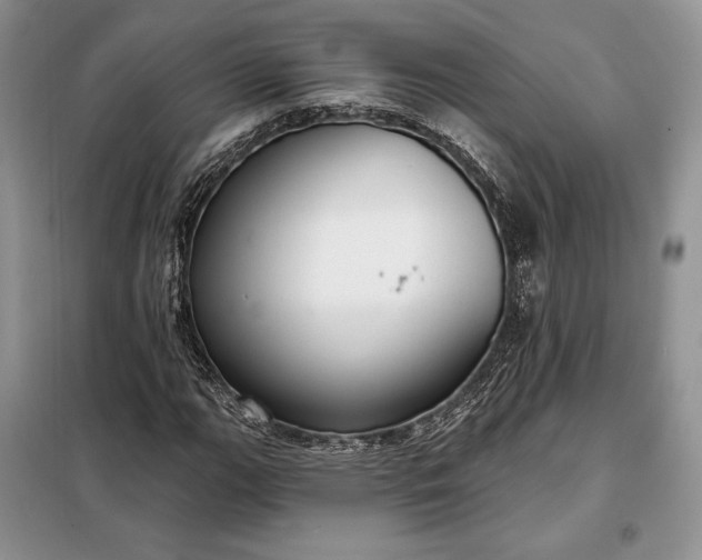 X0000098051111200804111305