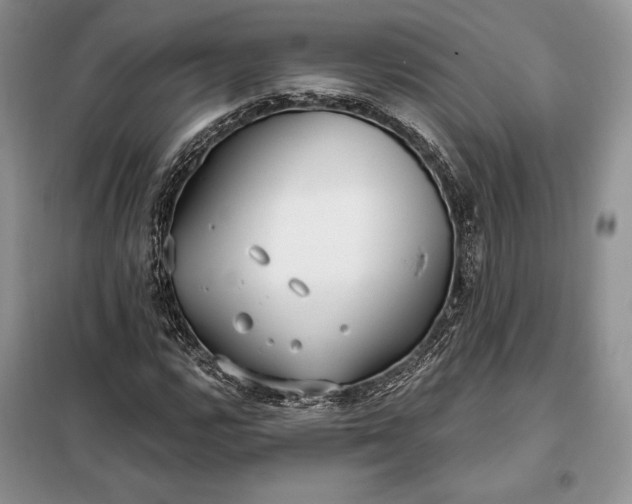 X0000098051112200804111305