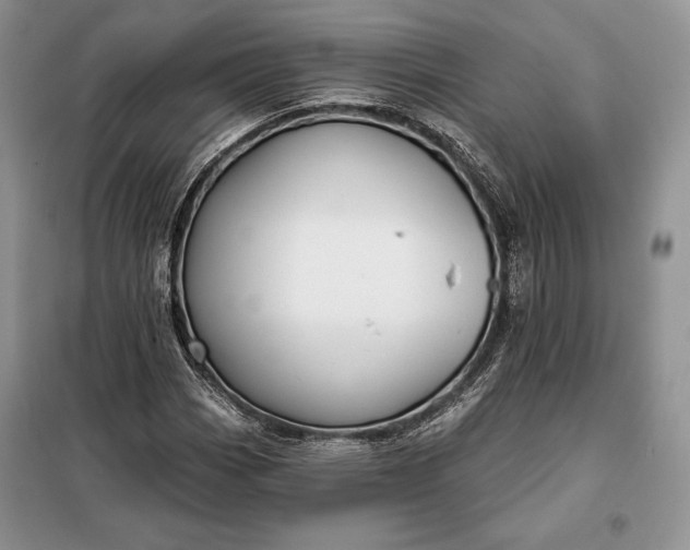 X0000098051113200804111305