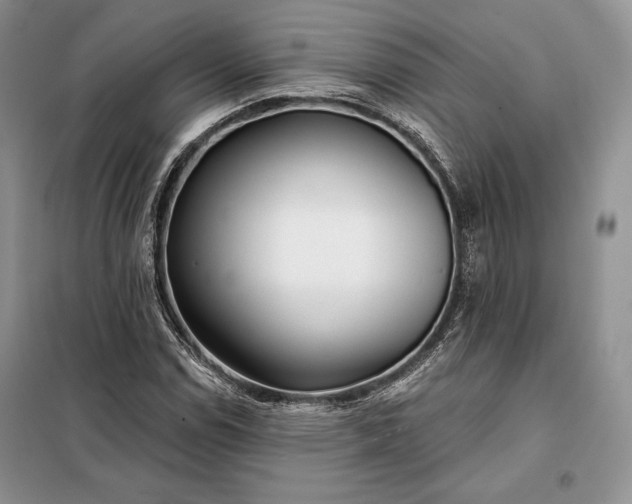 X0000098051114200804111305