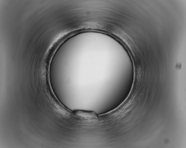 X0000098051115200804111305