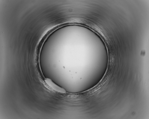 X0000098051116200804111305