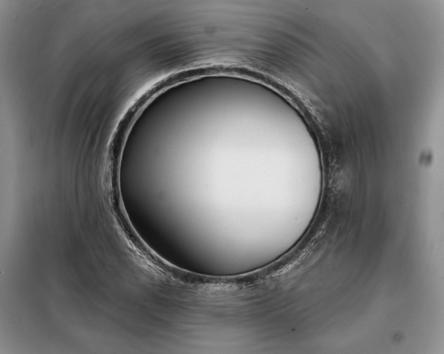 X0000098051118200804111305