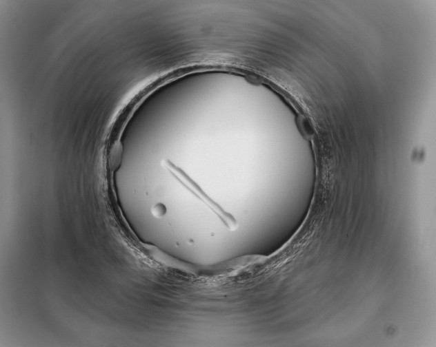 X0000098051120200804111305