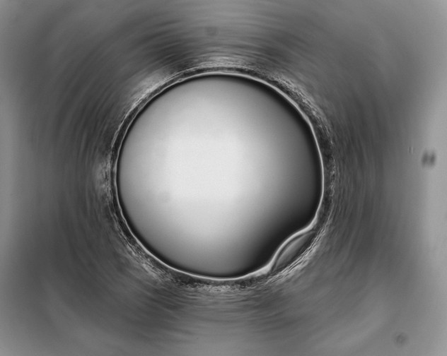 X0000098051121200804111306