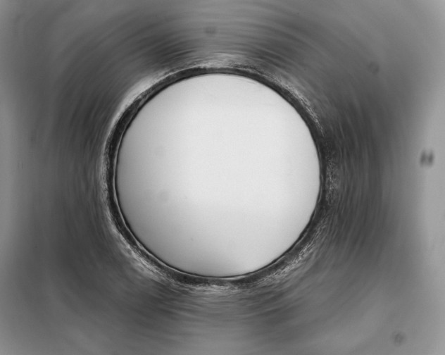 X0000098051122200804111306