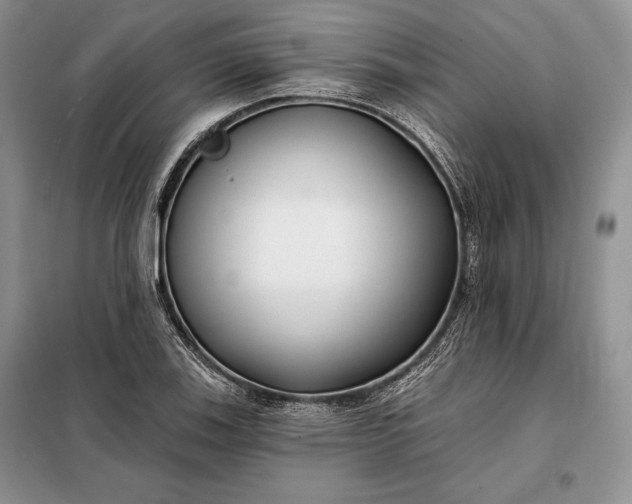 X0000098051123200804111306