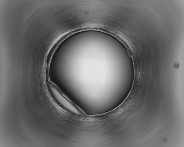 X0000098051124200804111306