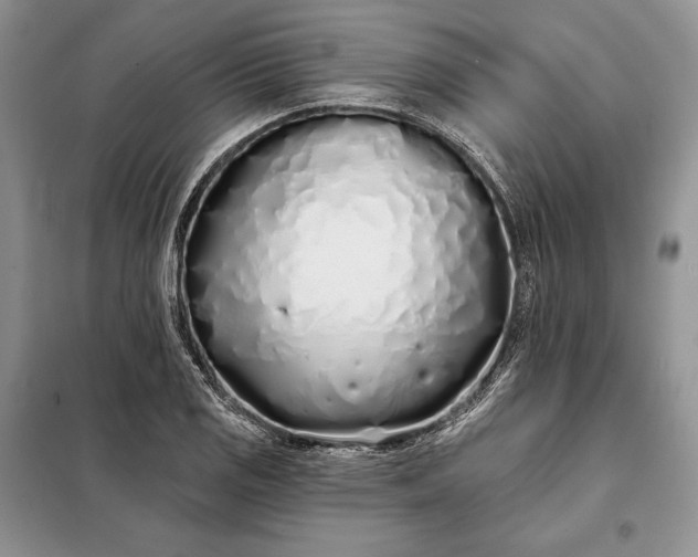 X0000098051125200804111306