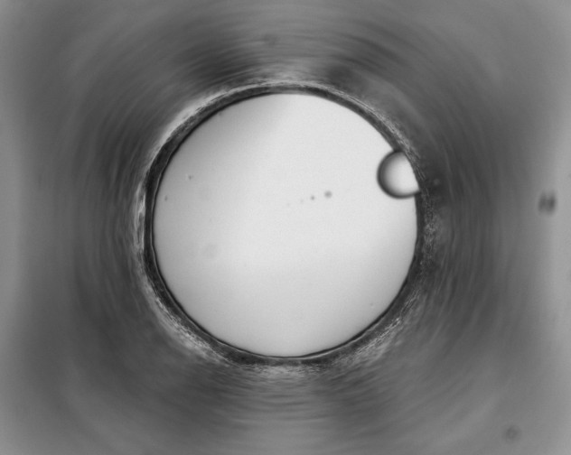 X0000098051126200804111306