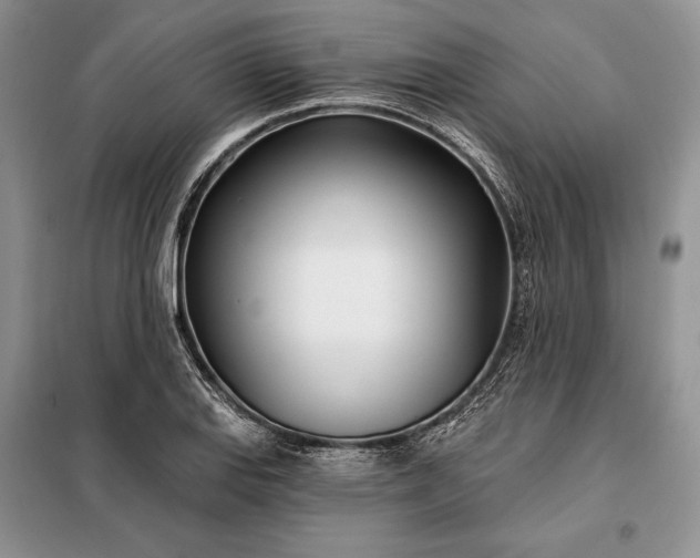 X0000098051127200804111306