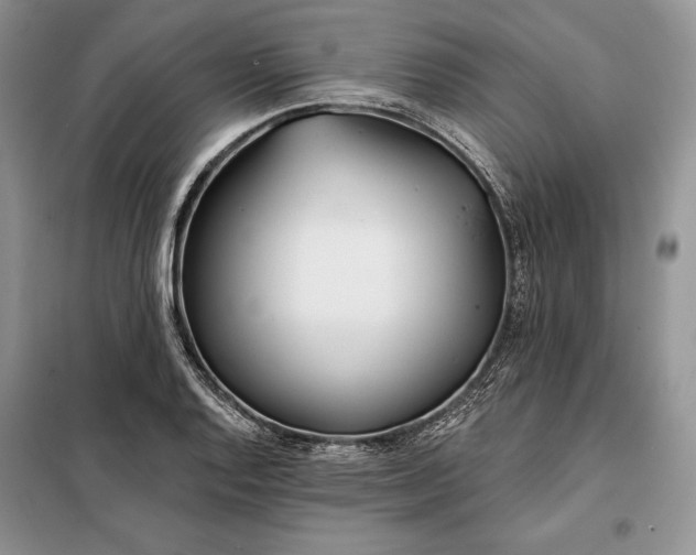 X0000098051128200804111306