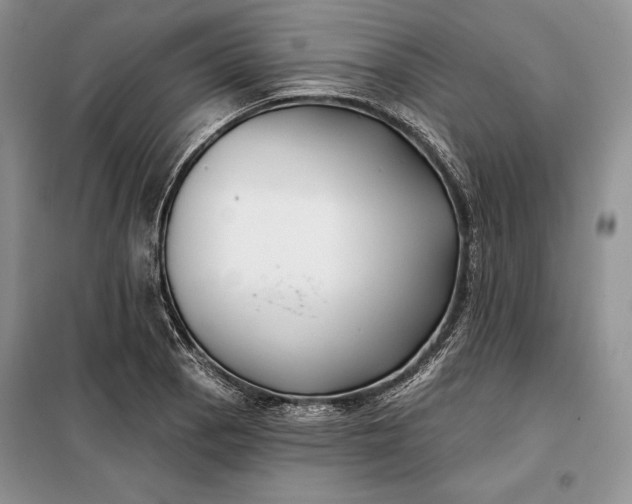 X0000098051129200804111306