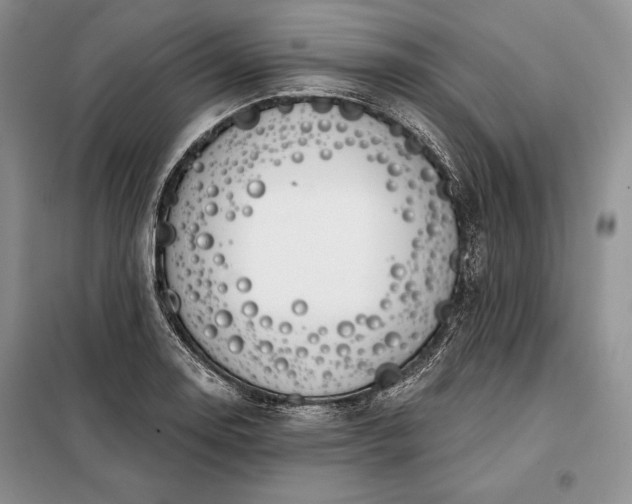 X0000098051130200804111306