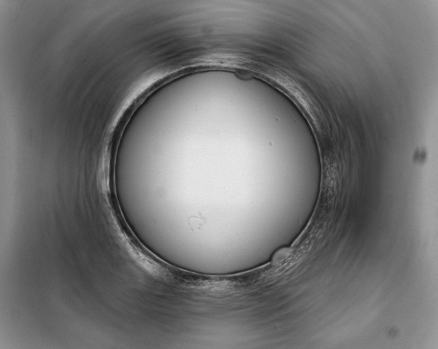 X0000098051131200804111306