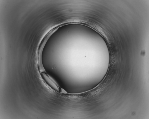 X0000098051132200804111306