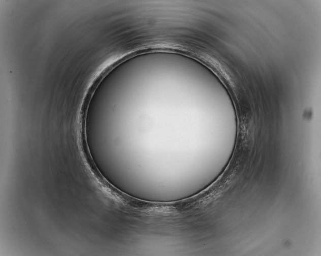 X0000098051133200804111306