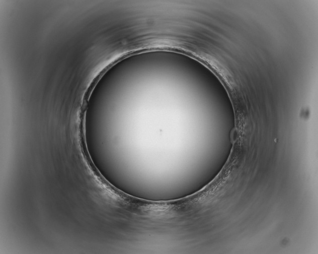 X0000098051134200804111306