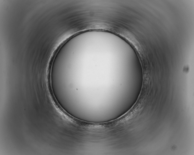 X0000098051135200804111306