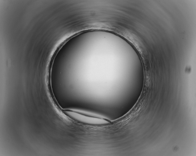 X0000098051136200804111306