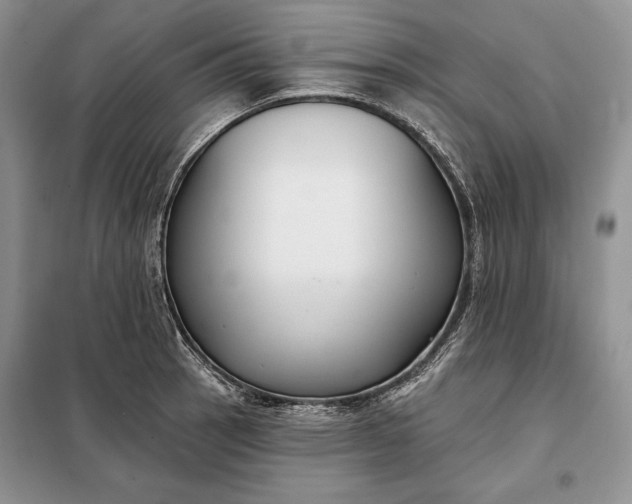 X0000098051137200804111306