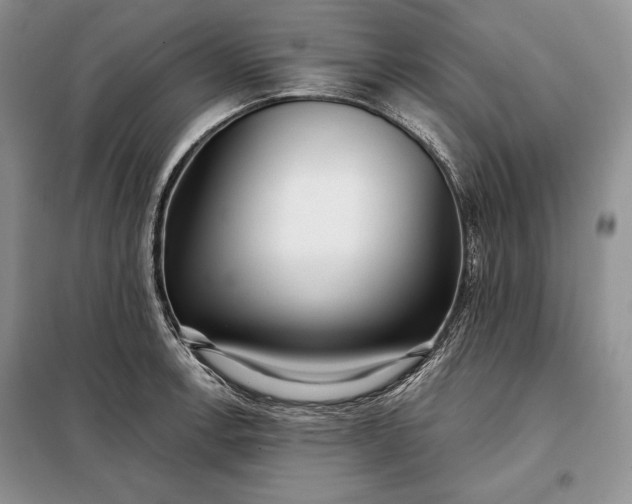 X0000098051138200804111306