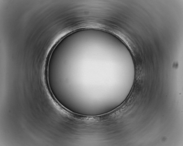 X0000098051139200804111306