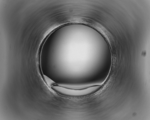 X0000098051141200804111306