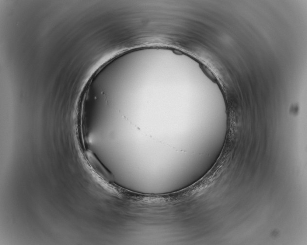 X0000098051142200804111306