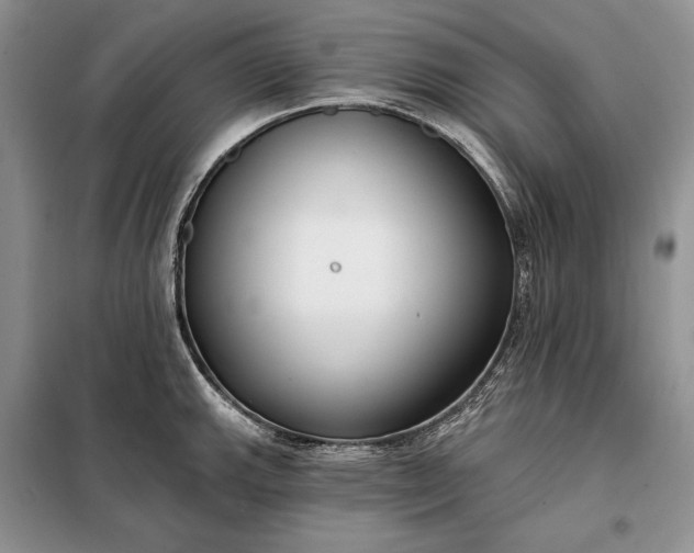 X0000098051143200804111306