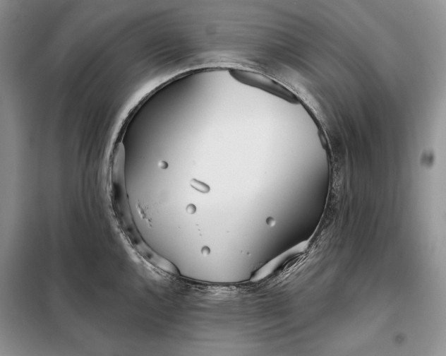 X0000098051144200804111306