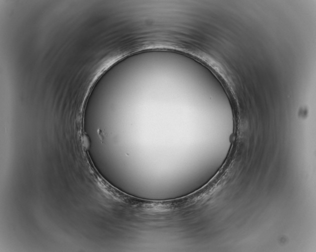 X0000098051145200804111306