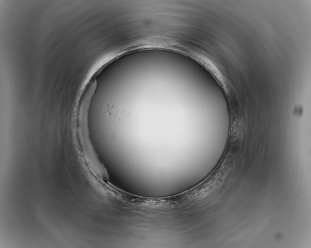 X0000098051146200804111306