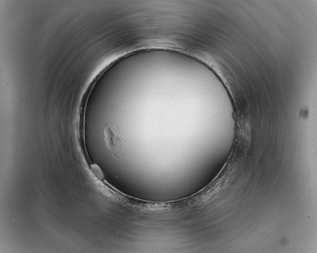 X0000098051147200804111306